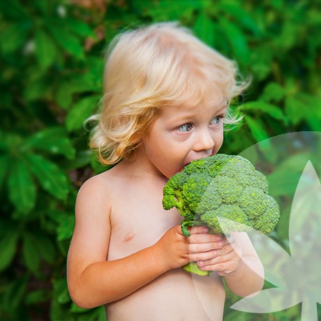 La Dieta De Las Zonas Azules - Alimentate Como Las Personas Mas Sanas Del Mundo