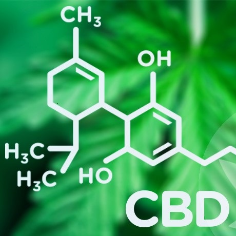 Il CBD Può Sballare?