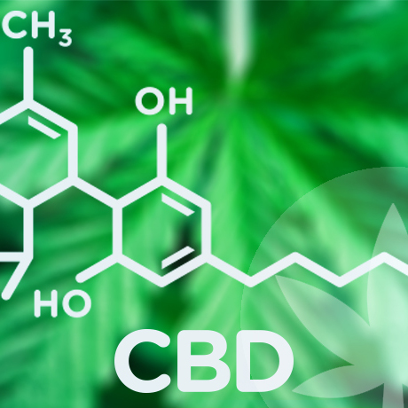 Comprar aceite de CBD: en qué fijarse