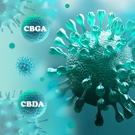 Cannabinoides y Covid-19