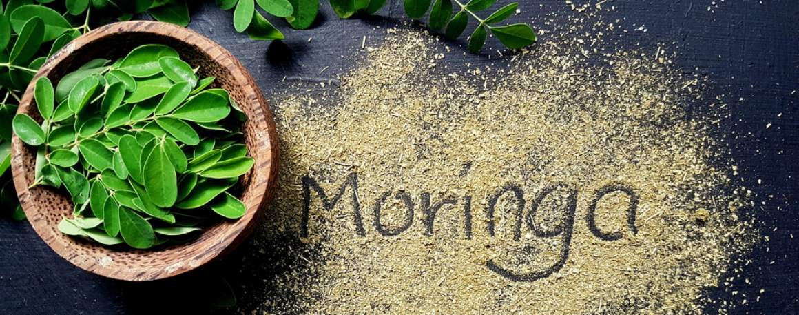 Moringa : Beneficios para la salud y consejos de uso