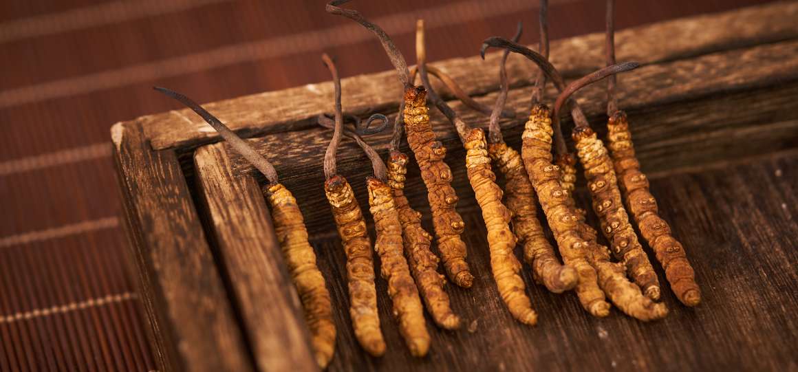 ¿Se debe tomar el cordyceps con el estómago vacío o con alimentos?